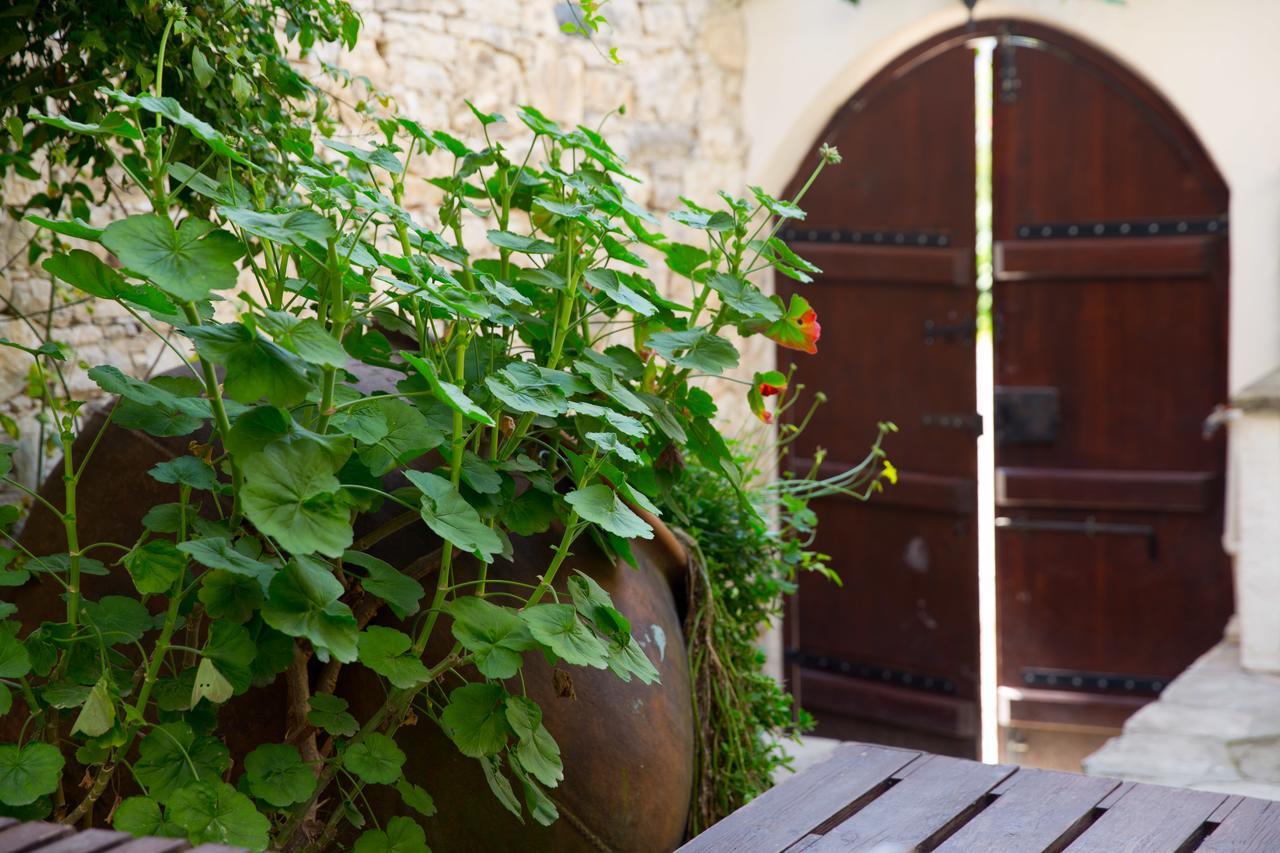 Вілла The Old Olive Mill House By Trulycyprus Dhoros Екстер'єр фото
