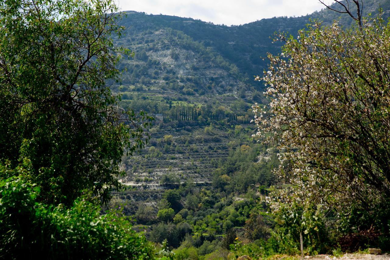 Вілла The Old Olive Mill House By Trulycyprus Dhoros Екстер'єр фото